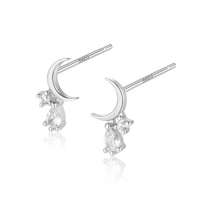 _ӍՌ20It2_ȏ㔼z^sAM[ΉtZJhsAX sAX Vo[sAXSilver925 Vo[   hbv CZ_Cv[g Mtg P[Xt