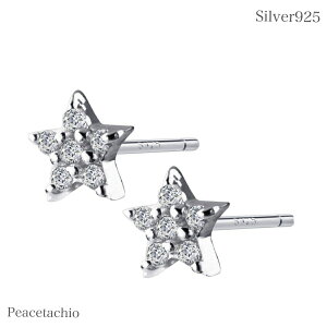 sAM[ΉtsAX Vo[sAXSilver925 Vo[  CZ_Cv[g v`Mtg 蕨 [P[Xt
