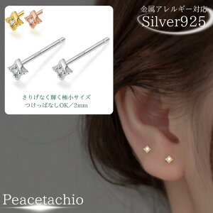 _ӍՌ20It2_ȏ㔼z^sAM[ΉtZJhsAX Silver925 S925 Vo[925 Vo[sAX H` _C`[t Ԃ 2mm ɏsAX Vv i  