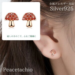 _20offXSi2_50^sAM[ΉtsAX Vo[sAXSilver925 Vo[925 sNS[h ̂ HANZT[ 킢 v[g v`Mtg 蕨 [P[Xt