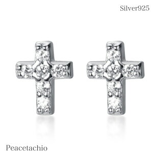 sAM[ΉtZJhsAX sAX Vo[sAXVo[925 Silver925 fB[X Vo[NX \ Ԃ ~jsAX Vo[sAXCZ_Ch v`Mtg p[