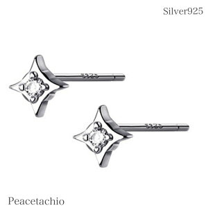 _ӍՌ20It2_ȏ㔼z^sAM[ΉtZJhsAX sAX Vo[sAXςȂ ɏ ڗȂ ڗɂSilver925 Vo[ X^[ CZ_C N[ ~j