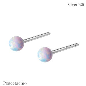 sAM[ΉtsAX Vo[sAXSilver925 Vo[ Ip[ ~jsAX Vo[sAXɏv[g v`Mtg 蕨 [P[Xt~j  ԂςȂ 
