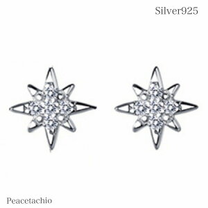 _5̂^sAM[ΉtsAX Vo[sAXSilver925 Vo[NX CZ_C X^[ v[g v`Mtg 蕨 [P[Xt