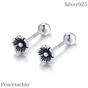 yAM[Ήz ZJhsAX sAX Silver925 Vo[t[ ubN ~jsAX Ԃ  ~jTCY ˂ lW lW^Cv XN[