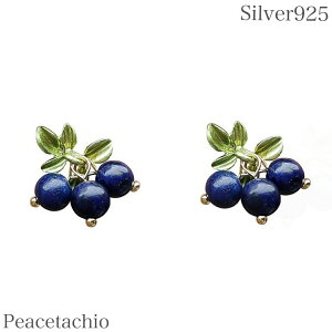 _5̂^sAM[ΉtsAX Vo[sAXSilver925 Vo[u[x[ v[g v`Mtg 蕨 p[P[Xt Peacetachio