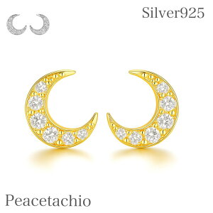 _ӍՌ20It2_ȏ㔼z^sAM[ΉtZJhsAX sAX Silver925 Vo[ S[h O [ 