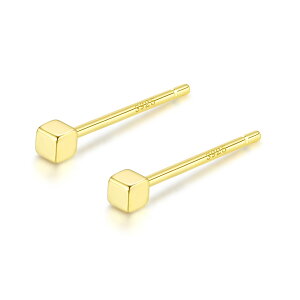 _zN[| XSi2_ȏ^yAM[Ήz ZJhsAX sAX Vo[sAXςȂ ɏ  ڗȂ ڗɂVo[ Silver925 lp N[ 2mm 