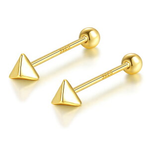 _20off^sAM[ΉtZJhsAX sAX Vo[ Silver925 S[h 18?R[eBOOp` gCAO ˂^Cv Â炢 {[ Peacetachio