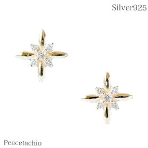 sAM[ΉtsAX Vo[sAX Vo[ Silver925 14KR[eBOt[ CZ_C v[g v`Mtg 蕨 [P[Xt