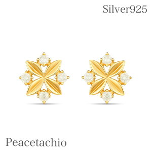 sAM[ΉtsAX Vo[sAXVo[ Silver925 14KR[eBOt[ v[g v`Mtg 蕨 p[P[Xt