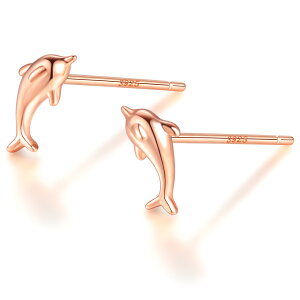 _ӍՌ20It2_ȏ㔼z^sAM[ΉtZJhsAX sAX Vo[925 Silver925CJ邩   ڗȂ ؚ Vv Ђ