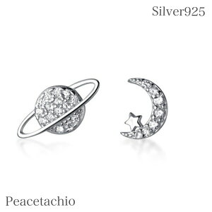 sAM[ΉtsAX Vo[925 Silver925F f     ڗȂ ؚ Vv Ђ sNS[h WRjA L[rbNWRjA CZ_C