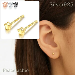 _At^[Z[20off^sAM[ΉtSilver925 S925 Vo[925 Vo[sAX  X^[ 2mm ɏ Ԃ   ڗȂ sAX ςȂOK ؚ Vv fB[