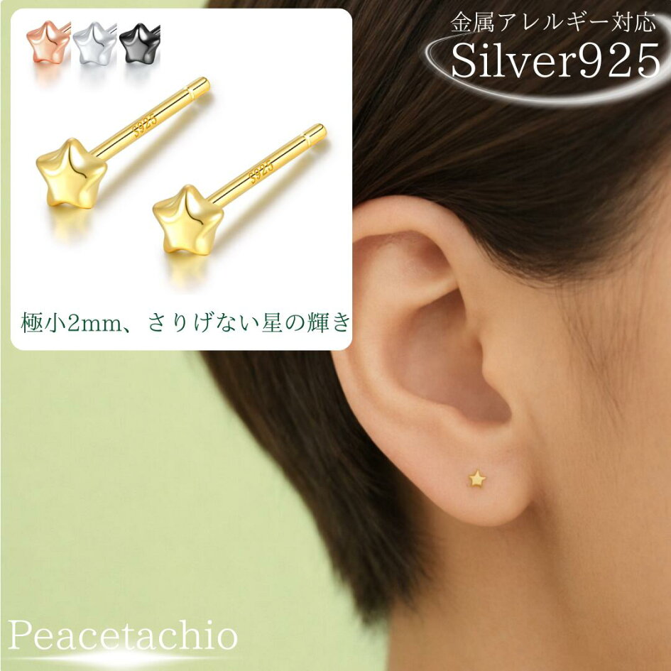 楽天市場 | シルバーアクセ専門店ピスタチオ - 金属アレルギー対応 