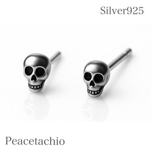 _ӍՌ20It2_ȏ㔼z^sAM[ΉtZJhsAX sAX Vo[925 Silver925[  KCRc nEB   ڗȂ ؚ Vv Ђ 