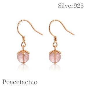 _z^yAM[Ήz ZJhsAX sAX Vo[sAXVo[925 Silver925 Xgx[NH[ch sNS[h 킢 v[g@Mtg