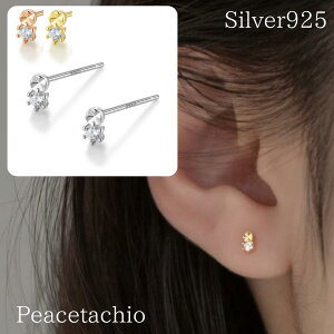 sAM[ΉtZJhsAX sAX Vo[sAXɏ Ђ Vv ؚ   RjA L[rbNWRjA CZ_C Vo[925 Silver925v[g Mtg