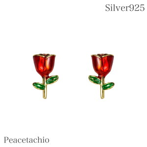 sAM[ΉtsAX Vo[925 Silver925o KN   ڗȂ ؚ Vv Ђ 18KR[eBO Peacetachio