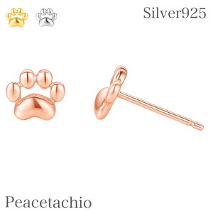 sAM[ΉtsAX Vo[925 Silver925lR  L ˂ 킢 Ԃ sAX Ђ jbPt[