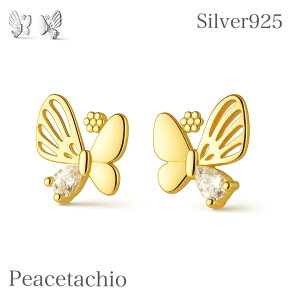 _z^yAM[Ήz ZJhsAX sAX Vo[925 Silver925o^tC X CZ_C P킢