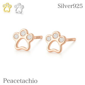 sAM[ΉtZJhsAX sAX Vo[925 Silver925L L̑  CZ_C