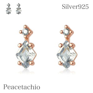 sAM[ΉtsAX Vo[925 Silver925  ڗȂ ؚ Vv Ђ sNS[h WRjA L[rbNWRjA CZ_C