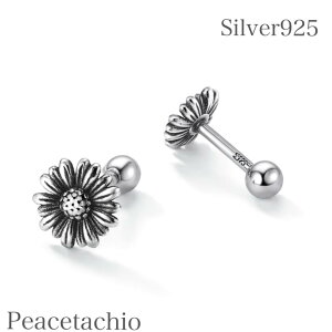 _z^yAM[Ήz ZJhsAX Vo[925 fCW[ sAX ׋╗ Xn t[`[t lW X^bhsAX  g 킢 fB[X ANZT[ O