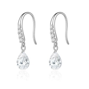 _z^yAM[Ήz Silver925 S925 Vo[925 Vo[sAX hbvCZ_C h tbNsAX ^ L[rbNWRjA i l킢 fB[X Mtg