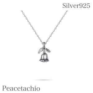 _P10{IyV}\^sAM[ΉtlbNX Vo[925 Silver925 46cm `F[6cm v[g Mtgv[g Mtg ANZTT[P[Xt