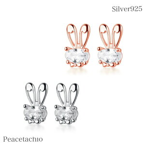 yAM[Ήz ZJhsAX sAX Vo[sAXSilver925 Vo[925  e sNS[h CZ_CMtg ig  蕨 v[g Mtg LO a 