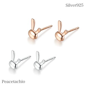 yAM[Ήz ZJhsAX sAX Vo[sAXSilver925 Vo[ sNS[h  e rbg 킢 v[g Mtg ANZT[P[Xt