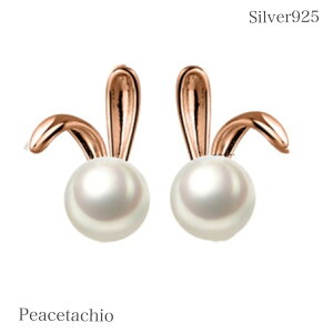 _ӍՌ20It2_ȏ㔼z^sAM[ΉtZJhsAX sAX Vo[sAXSilver925 Vo[925  p[v[g Mtg