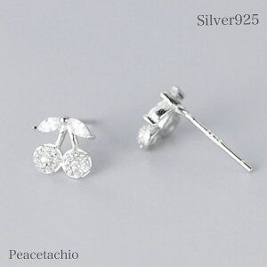 _z^yAM[Ήz ZJhsAX sAX Vo[sAXVo[925 Silver925  sNS[h v[g Mtg