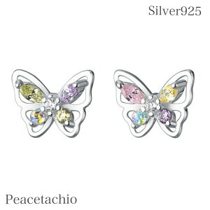 sAM[ΉtZJhsAX sAX Vo[925 Silver925X 傤傤 o^tC ꂢ JtVv