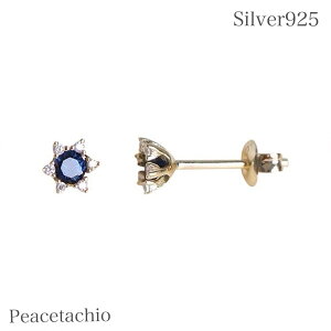 _5̂^sAM[ΉtsAX Vo[sAXVo[ Silver925 S[h 18KR[eBOt[ u[v`Mtg 蕨 [P[Xt