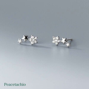 _XSi2_ȏ50off^sAM[ΉtZJhsAX sAX Vo[sAXSilver925 Vo[ S[h 18KR[eBO  X^[v[g Mtg P[Xt