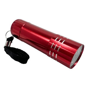 ~jtbVCg FL02 d Pi LED ^ h  y A~f dr Pl ~jTCY RpNg nfBCg EVERSAFE gїp ([24܂OK)