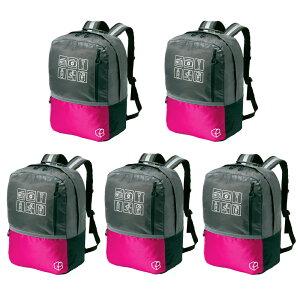 y 11/20 m1/2 ő100PҌ z hЃbN e 47L ܂Ƃߔ 5Zbg L[Ή y  v hЃObY F ЊQ po bN̂ hЃobO  