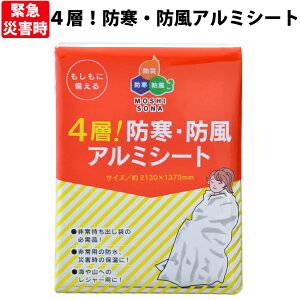 防寒 防風 アルミシート 保温 防災グッズ 防災用品 非常時 緊急時 簡易毛布 ブランケット 帰宅困難者対策 条例 備蓄 睡眠用 キャンプ アウトドア レジャー(メール便8個までOK)