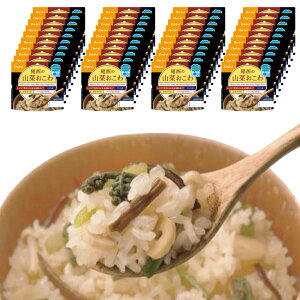 非常食セット 5年保存 尾西 レンジ+(プラス) 1食 20食 40食 五目ごはん/ドライカレー/チキンライス/赤飯/山菜おこわ アルファ米 アルファ化米 電子レンジ 時短 非常食 保存食 防災食 保存食セッ