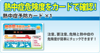 熱中症対策キットDX(デラックス)クーラーバッグに入った応急処置セット熱中症対策グッズ瞬間冷却剤/水分補給ゼリー/塩分チャージタブレッツ/涼感ひんやり冷却タオル/経口補水液/保存水/熱中症予防カード/ひんやりグッズ非常用防災グッズ防災セット/保冷バック