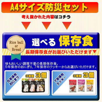 ピースアップA4サイズ災害備蓄用防災セット備えて安心24点本棚や引出しに収納出来る防災グッズセット東京都帰宅困難者対策条例帰宅難民一人用地震震災対策保存食非常食セットアルファ米保存水非常用簡易トイレ男性女性用子供用非常持ち出し袋