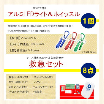 ピースアップA4サイズ災害備蓄用29点防災セット東京都帰宅困難者対策条例帰宅難民対応最低限必要な3日間分防災グッズセット一人用3日分地震震災対策保存食非常食セット防災用品アルファ米保存水非常用簡易トイレ男性女性用子供用非常持ち出し袋