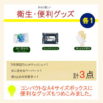 ピースアップA4サイズ災害備蓄用29点防災セット東京都帰宅困難者対策条例帰宅難民対応最低限必要な3日間分防災グッズセット一人用3日分地震震災対策保存食非常食セット防災用品アルファ米保存水非常用簡易トイレ男性女性用子供用非常持ち出し袋