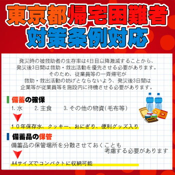 ピースアップA4サイズ災害備蓄用29点防災セット東京都帰宅困難者対策条例帰宅難民対応最低限必要な3日間分防災グッズセット一人用3日分地震震災対策保存食非常食セット防災用品アルファ米保存水非常用簡易トイレ男性女性用子供用非常持ち出し袋