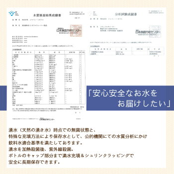 ピースアップA4サイズ災害備蓄用29点防災セット東京都帰宅困難者対策条例帰宅難民対応最低限必要な3日間分防災グッズセット一人用3日分地震震災対策保存食非常食セット防災用品アルファ米保存水非常用簡易トイレ男性女性用子供用非常持ち出し袋