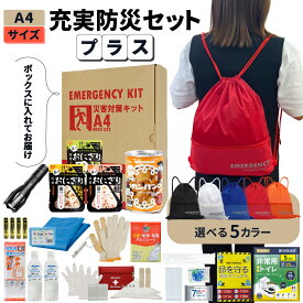 充実A4防災セット プラス 1人用 非常用持ち出し袋 防災グッズ ナップサック コンパクト A4ボックス 非常食 おにぎり 保存水 簡易トイレ オフィス防災 分散備蓄 災害対策 迅速避難 EVERSAFE A4J1