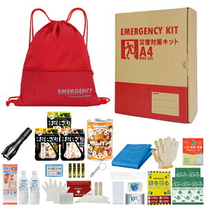 �[��A4�h�ЃZ�b�g �v���X 1�l�p ���p�����o���� �h�ЃO�b�Y �i�b�v�T�b�N �R���p�N�g A4�{�b�N�X ���H ���ɂ��� �ۑ��� �ȈՃg�C�� �I�t�B�X�h�� ���U���~ �ЊQ�΍� �v����� EVERSAFE A4J1