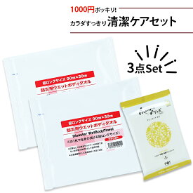 【4/18限定!確率1/2 最大100％P還元】1000円ポッキリ! 清潔セット 防災用ウェットタオル 10年保存アミノエリアneo 防災グッズ ウェットティッシュ シート 非常用 備蓄品 災害時 衛生用品 感染症対策 抗菌 消臭 健康ケア TYP03